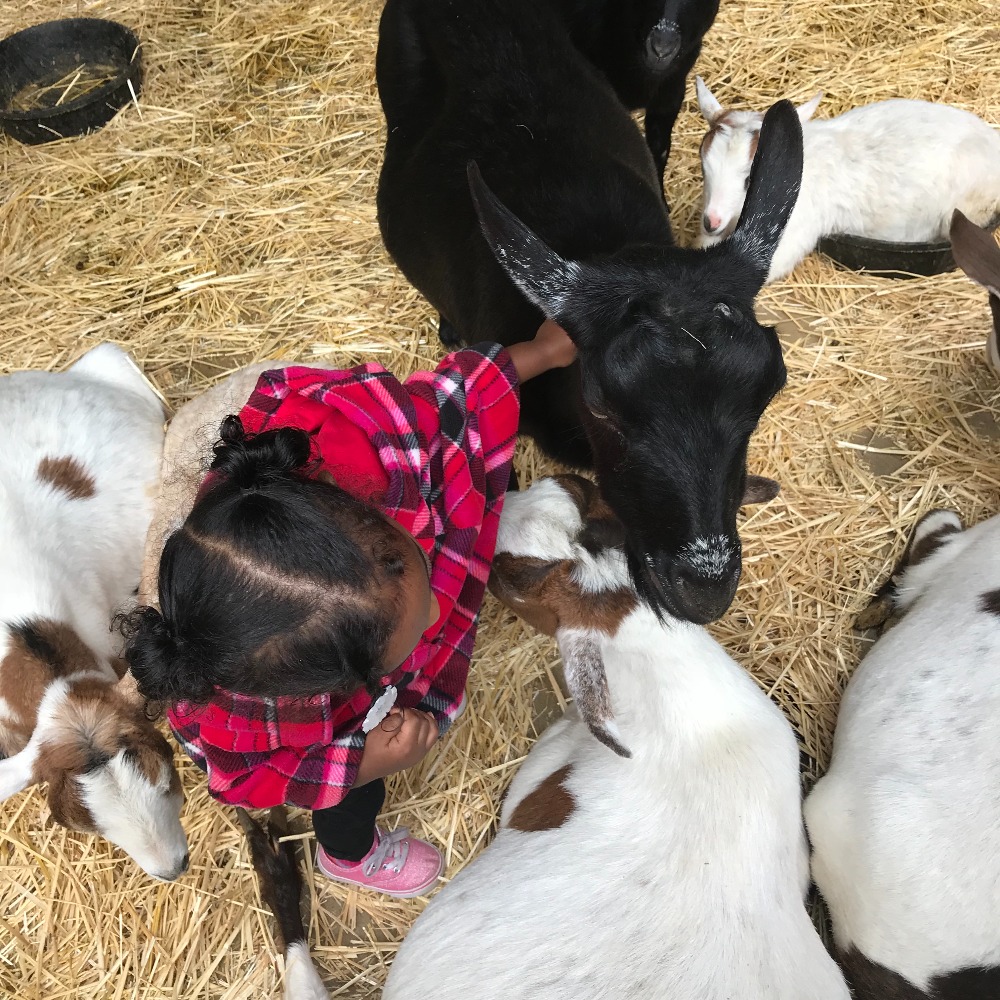 Meet your Posher, Adrianna